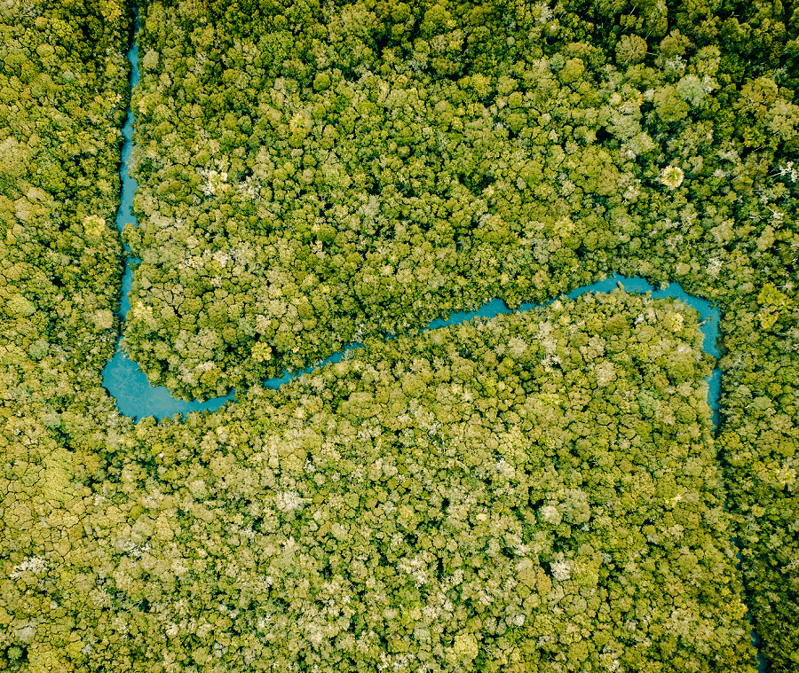 Vista área da Floresta da Fazenda 1
