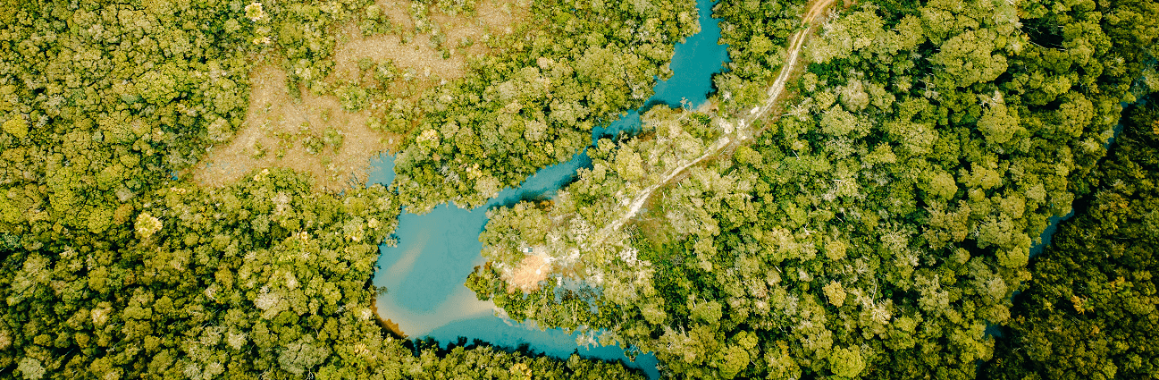 Vista área da Floresta da Fazenda 2
